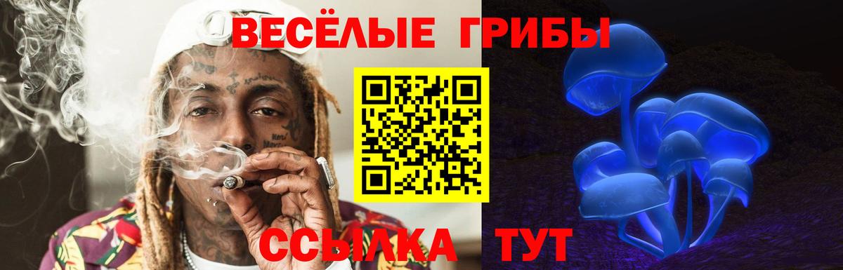 Сосновоборск  как найти закладки  Вход с VPN  Псилоцибиновые грибы MAGIC MUSHROOMS  Псилоцибиновые грибы мицелий 